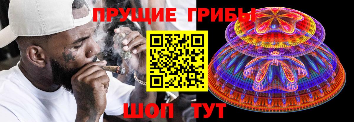 Псилоцибиновые грибы Psilocybe  Псилоцибиновые грибы мицелий  Пугачёв  Вход с VPN 